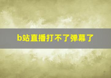 b站直播打不了弹幕了