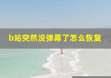 b站突然没弹幕了怎么恢复