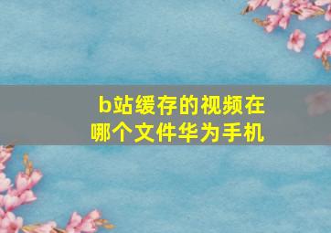 b站缓存的视频在哪个文件华为手机