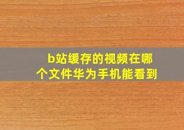 b站缓存的视频在哪个文件华为手机能看到