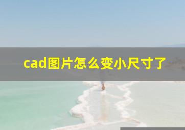 cad图片怎么变小尺寸了