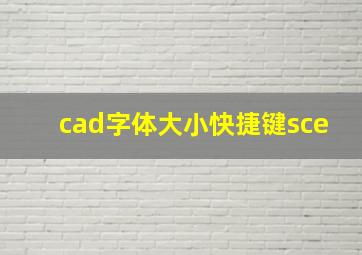 cad字体大小快捷键sce