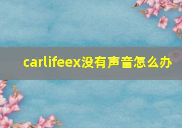 carlifeex没有声音怎么办