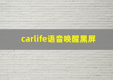 carlife语音唤醒黑屏