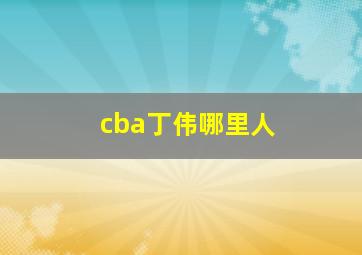 cba丁伟哪里人