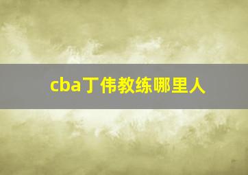 cba丁伟教练哪里人