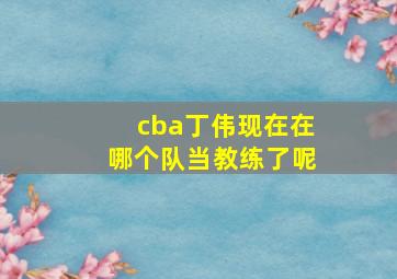 cba丁伟现在在哪个队当教练了呢