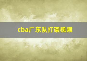 cba广东队打架视频