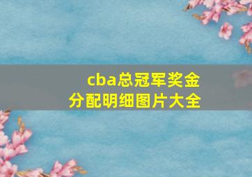 cba总冠军奖金分配明细图片大全