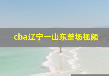 cba辽宁一山东整场视频