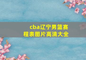 cba辽宁男篮赛程表图片高清大全