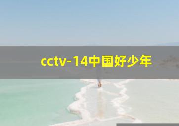 cctv-14中国好少年