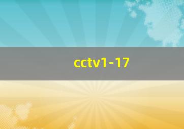 cctv1-17