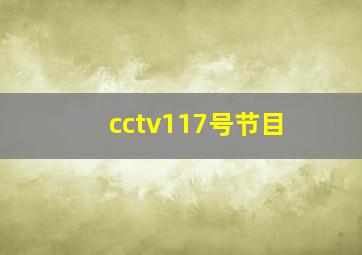 cctv117号节目