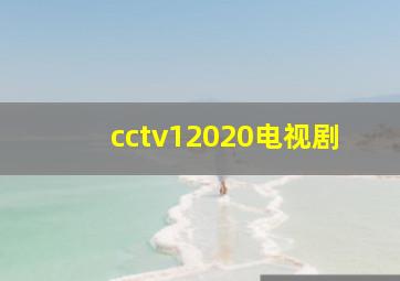 cctv12020电视剧