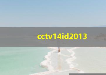 cctv14id2013