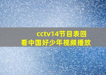 cctv14节目表回看中国好少年视频播放