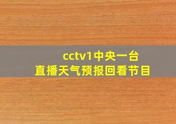 cctv1中央一台直播天气预报回看节目