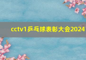 cctv1乒乓球表彰大会2024