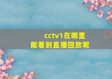 cctv1在哪里能看到直播回放呢