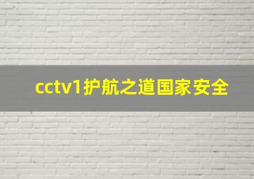 cctv1护航之道国家安全