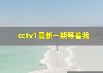 cctv1最新一期等着我