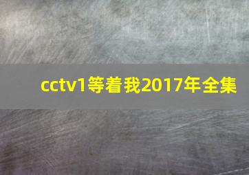 cctv1等着我2017年全集