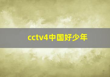 cctv4中国好少年