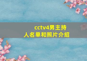 cctv4男主持人名单和照片介绍