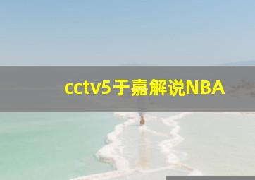 cctv5于嘉解说NBA