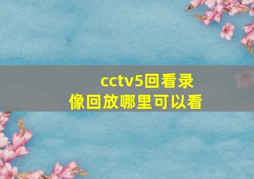 cctv5回看录像回放哪里可以看