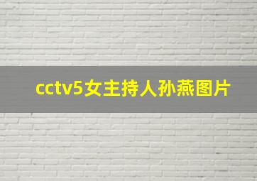 cctv5女主持人孙燕图片