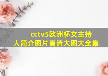 cctv5欧洲杯女主持人简介图片高清大图大全集