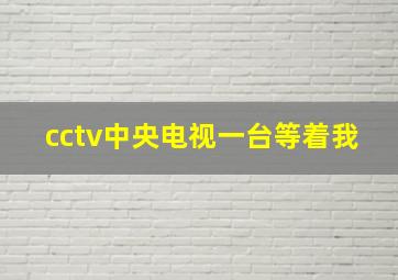 cctv中央电视一台等着我