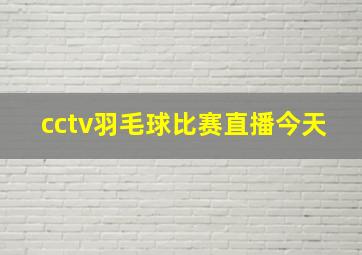 cctv羽毛球比赛直播今天