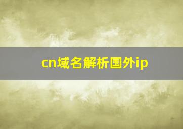 cn域名解析国外ip