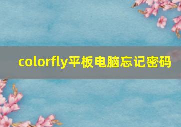 colorfly平板电脑忘记密码