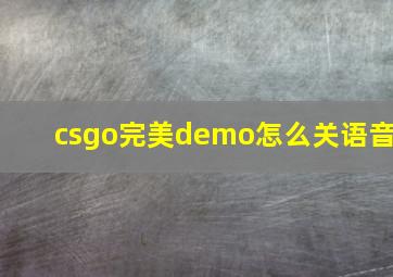 csgo完美demo怎么关语音