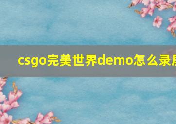 csgo完美世界demo怎么录屏