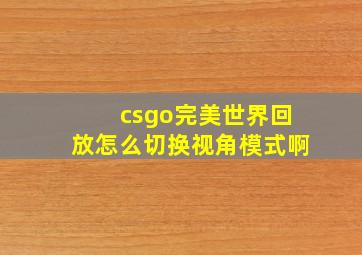 csgo完美世界回放怎么切换视角模式啊