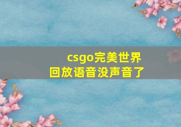 csgo完美世界回放语音没声音了