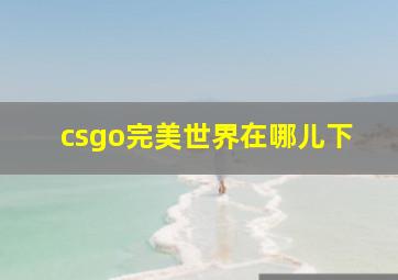 csgo完美世界在哪儿下