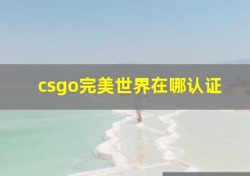 csgo完美世界在哪认证