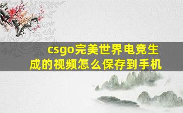 csgo完美世界电竞生成的视频怎么保存到手机