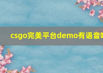 csgo完美平台demo有语音吗