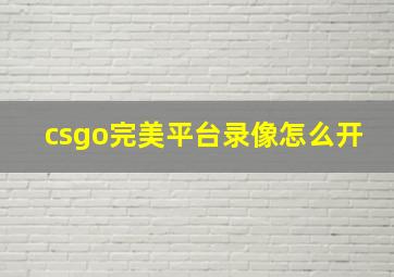 csgo完美平台录像怎么开