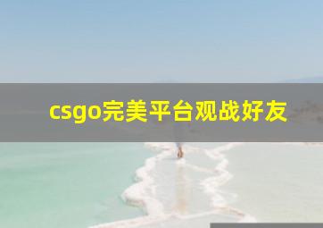 csgo完美平台观战好友