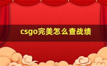 csgo完美怎么查战绩