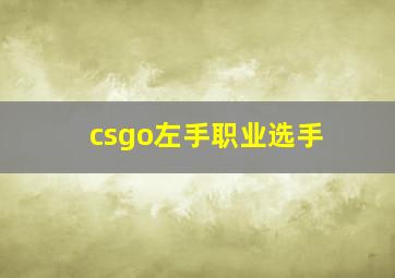 csgo左手职业选手