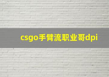 csgo手臂流职业哥dpi